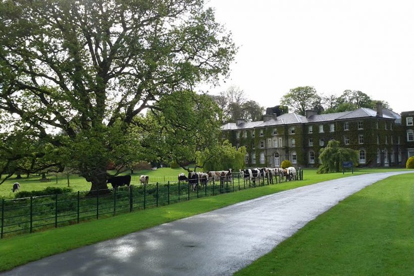 St Vincent’s Castleknock College