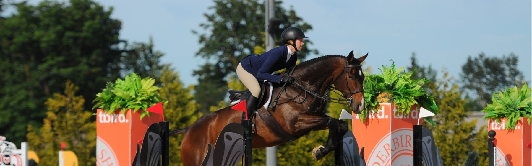 Queen Margaret’s School