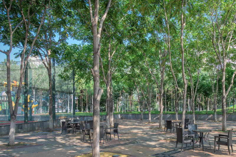Changchun American International School (CAIS)